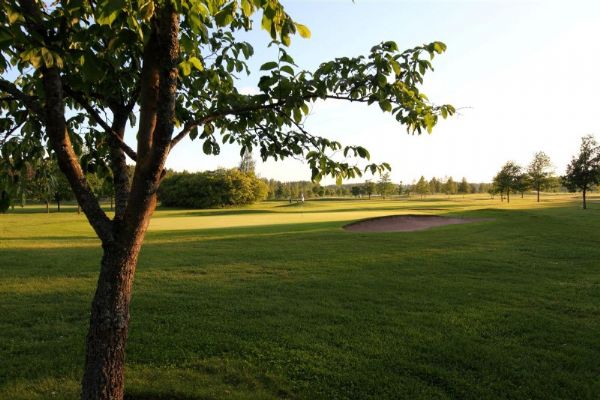 Toinen maisemakuva jossa n�kyy puu ja bunkkeri.